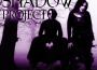 The Complete Collection專輯_Shadow ProjectThe Complete Collection最新專輯