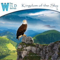 Kingdom of the Sky專輯_Age Of EchoesKingdom of the Sky最新專輯