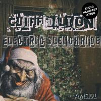 Electric Sleighride