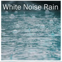 White Noise Rain歌曲歌詞大全_White Noise Rain最新歌曲歌詞