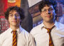 Harry and the Potters