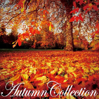 Autumn Collection