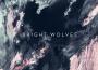 Bright Wolves專輯_Bright WolvesBright Wolves最新專輯