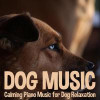 Pet Music Therapy最新專輯_新專輯大全_專輯列表