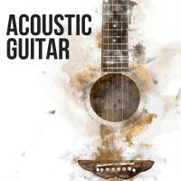 Acoustic Guitar