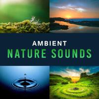 Soothing Nature Sounds歌曲歌詞大全_Soothing Nature Sounds最新歌曲歌詞