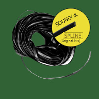 Spline