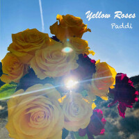 Yellow Roses