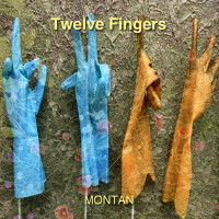 Twelve Fingers專輯_MONTANTwelve Fingers最新專輯
