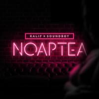 Noaptea (feat. Soundboy) [Explicit]