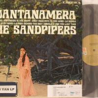 The Sandpipers