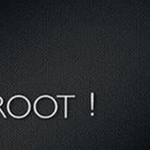 Root