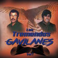 Los Tremendos Gavilanes