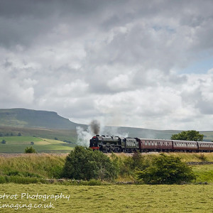 The Royal Scots Drag圖片照片