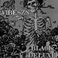 VIBESZN (Black Deluxe) [Explicit]