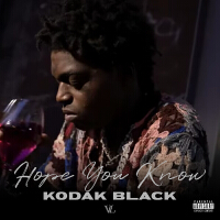 Hope You Know專輯_Kodak BlackHope You Know最新專輯