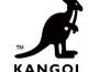 The Kangol Kid