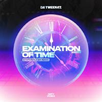 Examination Of Time (Synthsoldier Remix)專輯_Da TweekazExamination Of Time (Synthsoldier Remix)最新專輯