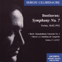 Sergiu Celibidache