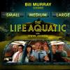 The Life Aquatic wit歌曲歌詞大全_The Life Aquatic wit最新歌曲歌詞