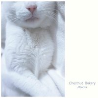 Diaries專輯_Chestnut BakeryDiaries最新專輯