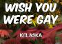 Wish You Were Gay專輯_KelaskaWish You Were Gay最新專輯