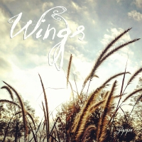 Wings