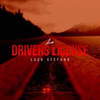 drivers license專輯_Luch Stefanodrivers license最新專輯