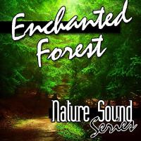 Nature Sound Series