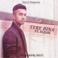 Tere Bina專輯_TazzzTere Bina最新專輯