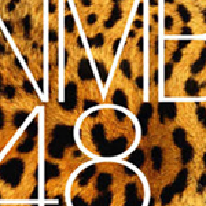 NMB48