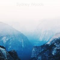 Sydney Woods歌曲歌詞大全_Sydney Woods最新歌曲歌詞