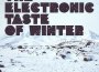 The Electronic Taste of Winter專輯_DBNThe Electronic Taste of Winter最新專輯