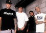 Box Car Racer