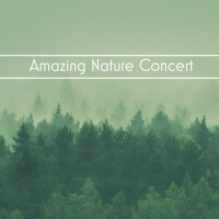 Cheerful Nature Sound Library歌曲歌詞大全_Cheerful Nature Sound Library最新歌曲歌詞