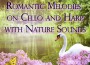 Romantic Melodies on Cello and Harp with Nature So專輯_Hitoshi SuzukiRomantic Melodies on Cello and Harp with Nature So最新專輯