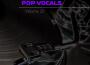 Pop Vocals Volume 32專輯_Above EnvyPop Vocals Volume 32最新專輯