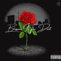 Blossom In The Dark (EP) [Explicit]專輯_JookBlossom In The Dark (EP) [Explicit]最新專輯