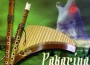 Panflute Melodies專輯_PakarinaPanflute Melodies最新專輯