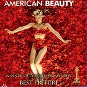 美國美人American Beauty