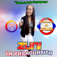 Zuni la Paraguayita