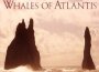 Whales Of Atlantis專輯_AscheraWhales Of Atlantis最新專輯