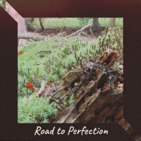 Road to Perfection