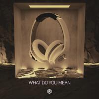 What Do You Mean (8D Audio)