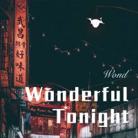 Wonderful Tonight