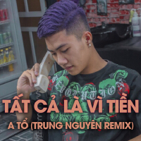 Tất Cả Là Vì Tiền (Remix)