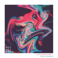 Are You Down (Big Z Remix)專輯_BIG ZAre You Down (Big Z Remix)最新專輯