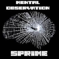 Mental Observation (Explicit)