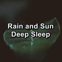 Deep Sleep System