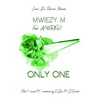 Only One (feat. Amerigo)